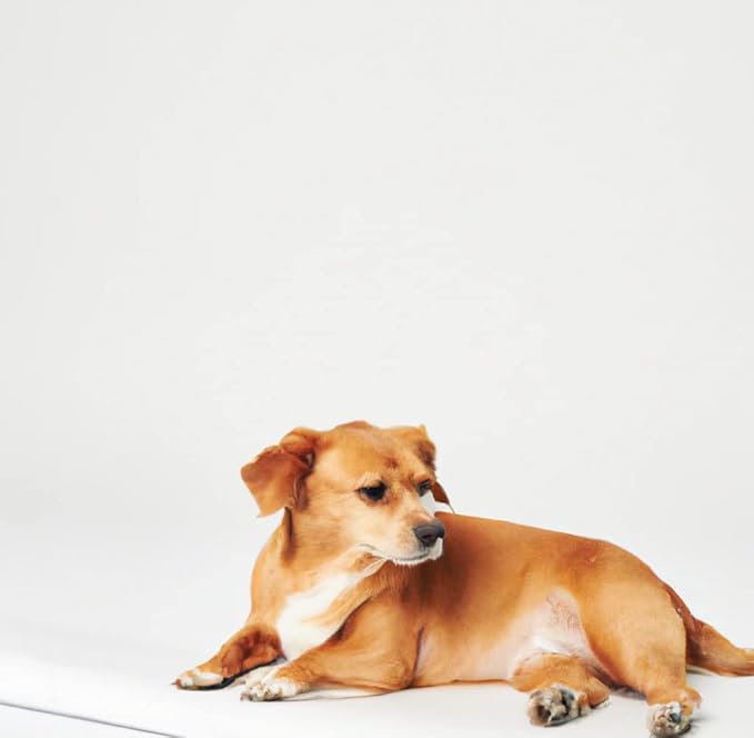 Inspire Super and Ultra Absorbent Reusable Bed Pads (23" X 36" Reusable 2 Pack)