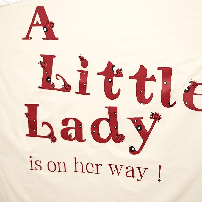 A Little Lady Is On Her Way Decal - Ladybug Party Decorations Supplies Wall Stickers, Girls Birthday/Baby Shower Party Decor Wall Decals, Balloon Arch Backdrop Decoration Ladybug Sign Stickers