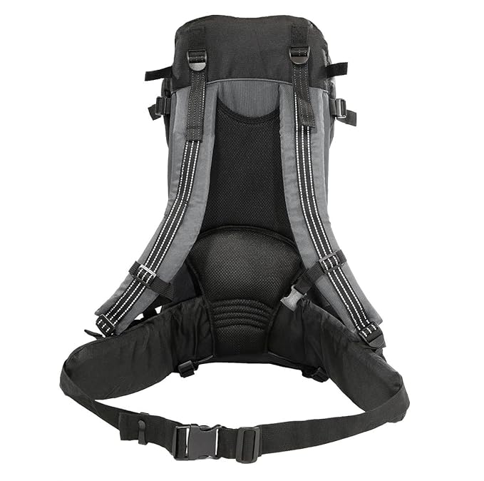 ClevrPlus Deluxe Adjustable Baby Carrier Outdoor Hiking Child Backpack Camping