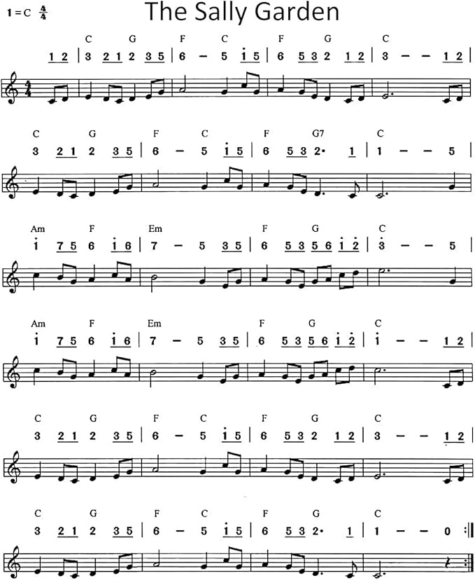 4PCS Key of C 10 Hole 10 Tones Titanium Color Harmonica with Case for Beginner Students Kids(Gold, Purple, Green, Blue)