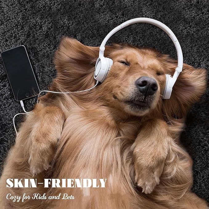 8x10 Area Rug for Living Room: Fluffy Shag Soft Washable Rugs Large Fuzzy Plush Indoor Carpet for Bedroom Nursery Playroom Kids Girls Boys Room (Black, 8'x10')