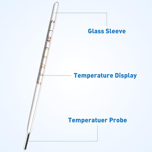 Glass Oral Temperature Measurement Classic Digital Temperature Measurement Accurate Temperature Measurements for Families