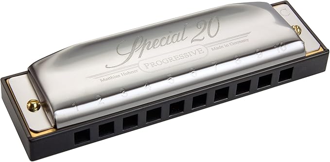 Hohner 560 Special 20 Harmonica - Key of B Bundle with Carrying Case, Key Stickers, Harmonica Beginner Online Manual, and Austin Bazaar Polishing Cloth