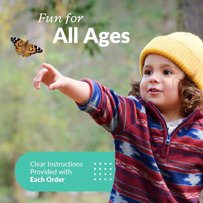 Clearwater Butterfly Live Painted Lady Butterflies - 33 Live Caterpillars Kit - Live Caterpillars to Butterflies - Classroom/School Kit & Habitat - (Suitable for All Ages)