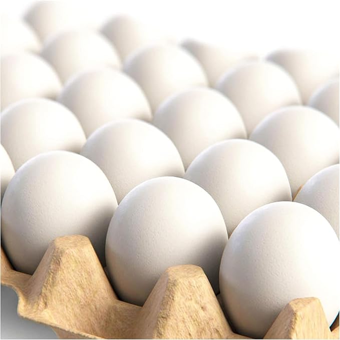 CALPALMY 24 Pieces Hyper-Realistic White Wooden Eggs - 2 Dozen Fake Easter Eggs for Painting, Decorating, Crafting, Pretend Play, Simulation Toys, Fake Food, Nest Box Training