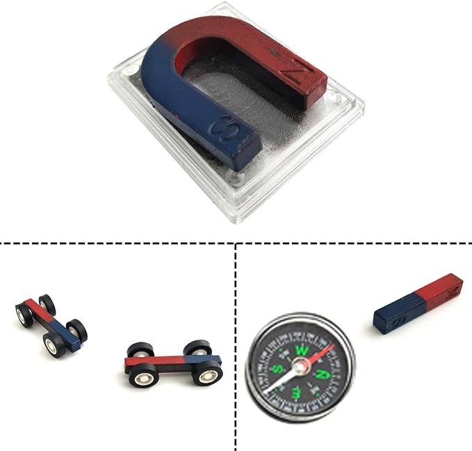 EUDAX Labs Junior Science Magnet Set for Education Science Experiment Tools Icluding Bar/Ring/Horseshoe/Compass Magnets