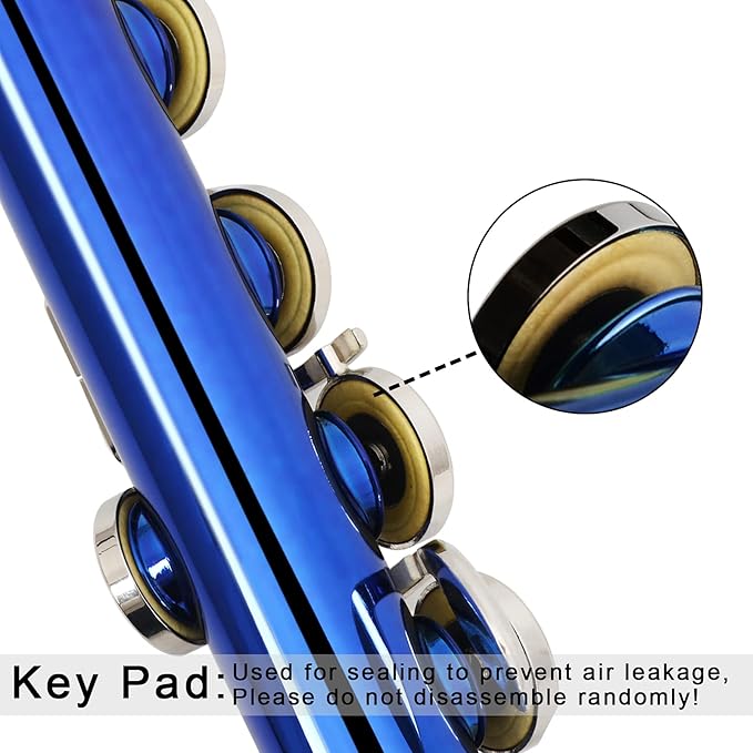 EASTROCK Closed Hole Flutes C 16 Key for Beginner, Kids, Student -Silver Nickel Flute with Case Stand and Cleaning kit (Blue)