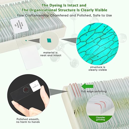 30 Microscope Slides with Specimens,Prepared Microscope Slides for Kids,Glass Slides for Microscope,Prepared Slides for Kids Microscope,Microscope Slide Preparation Kit for Biology Science Classes