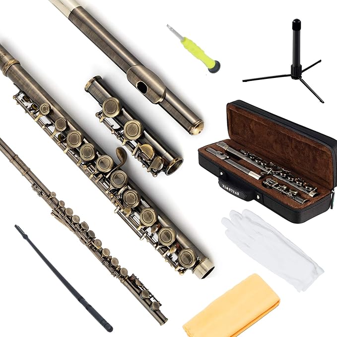 EASTROCK Closed Hole Flutes C 16 Key for Beginner, Kids, Student -Antique Flute with Case Stand and Cleaning kit