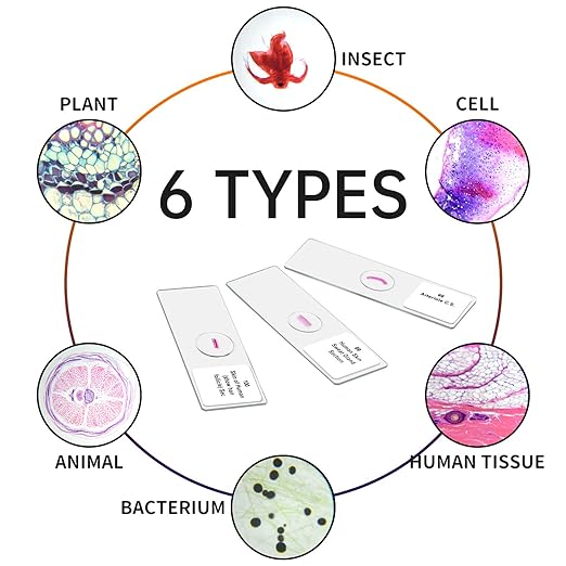 100Pcs Prepared Microscope Slides Set Professional Specimens for Kids Student Homeschool Use