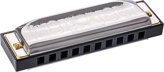 Hohner Special 20 Harmonica - Key of A Bundle with Case, Pouch, Online Manual, and Austin Bazaar Polishing Cloth