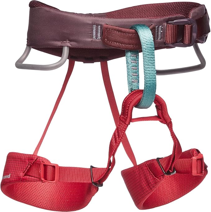 BLACK DIAMOND Kids Momentum Climbing Harness, One Size, Fits Most Children Between 35-80 lbs