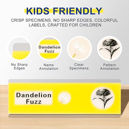 48Pcs Prepared Microscope Slides Specimen Animals Plants Flowers Sample Biological Specimen, Stereo Microscope Slide for Kids Children Students Enlighten Education