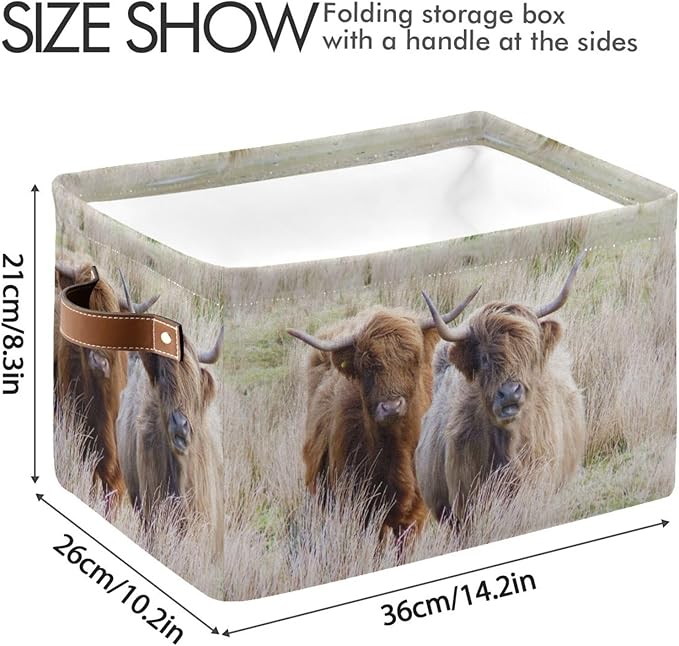 Highland Cows Storage Basket Cube Storage Bins Organizer Bag Collapsible Closet Shelf Baskets with handle for Baby Cloth Pet Toy Book 14.2×10.2×8.3 IN