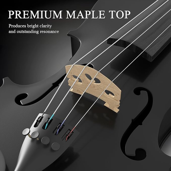 4/4 Beginner Violin Kit for Adults, Complete Full Size Violin Set with Portable Case, Bow, Rosin, Black