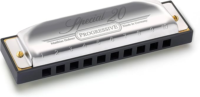 Hohner Special 20 Harmonica - Key of D Bundle with Case, Pouch, Online Manual, and Austin Bazaar Polishing Cloth
