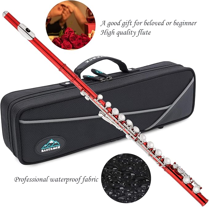 EastRock Closed Hole Flutes C 16 Key for Beginner, Kids, Student -Nickel Flute with Case Stand and Cleaning kit (Red)