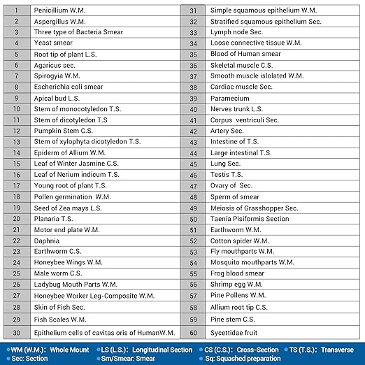 60 Microscope Slides with Specimens for Kids, Prepared Microscope Slides for Kids Microbiology, Prepared Microscope Slides for Adults