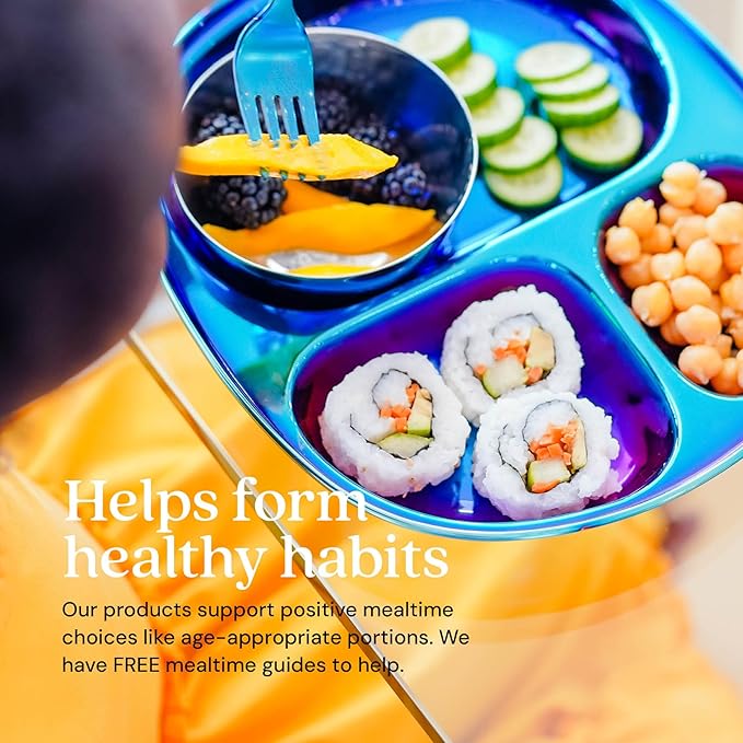 Ahimsa Stainless Steel Plates for Kids - Divided Plates for Toddlers, Pediatrician Designed, Non Toxic Toddler Plate, BPA Free & Dishwasher Safe (Blue Set of 4)