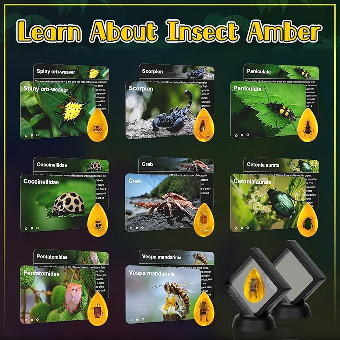 Bigger Amber Dig Kit - 8 Different Artificial Insect Resin,Excavate Unique Insect Specimens,Bugs Toys Educational Science Kits Toys for Kids,STEM Projects Gift for Girls & Boys Age 6-8-12-14 Year Old